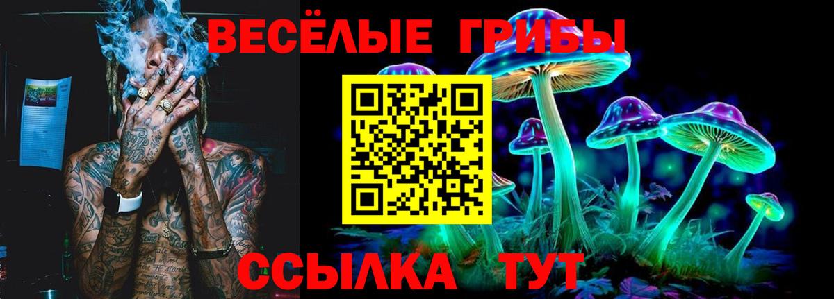 Псилоцибиновые грибы Шелехов